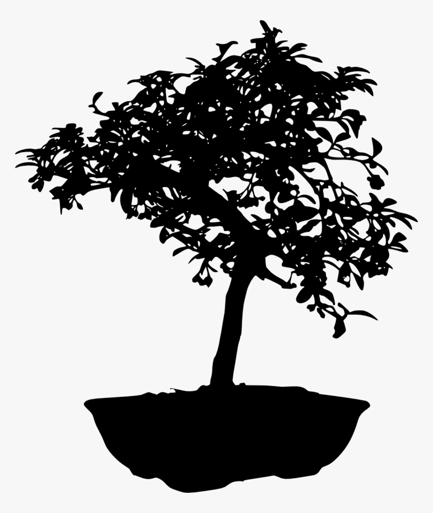 Bonsai-silhouette - Bonsai Tree Black And White, HD Png Download, Free Download