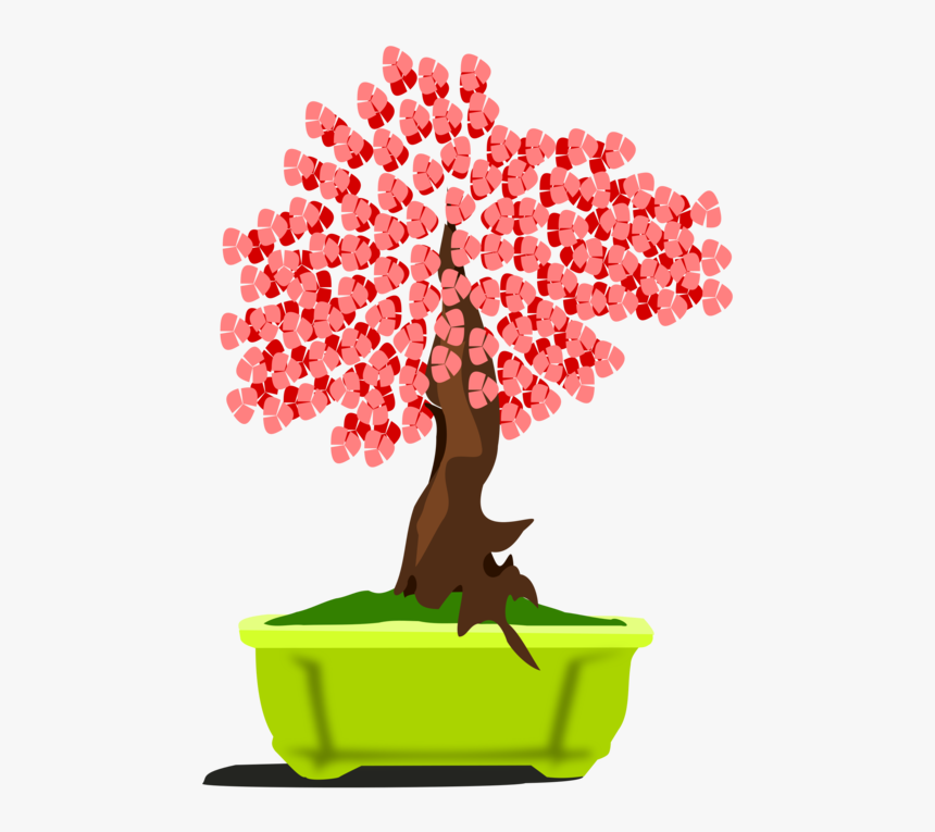 Bonsai, HD Png Download, Free Download