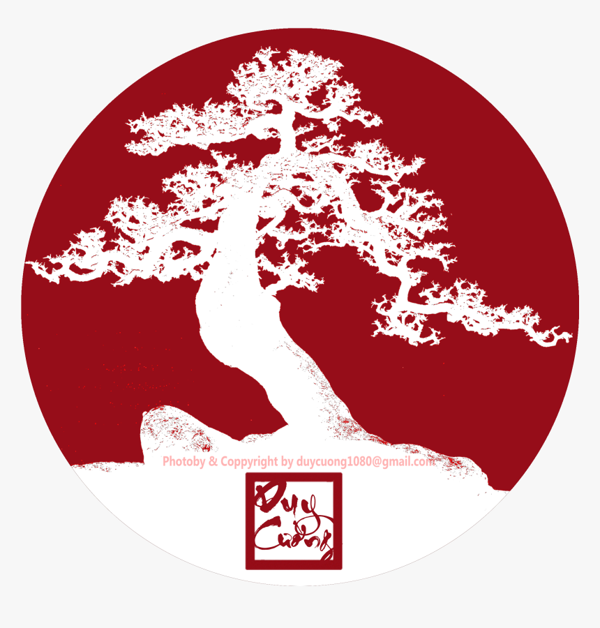 Cuong Bonsai, HD Png Download, Free Download