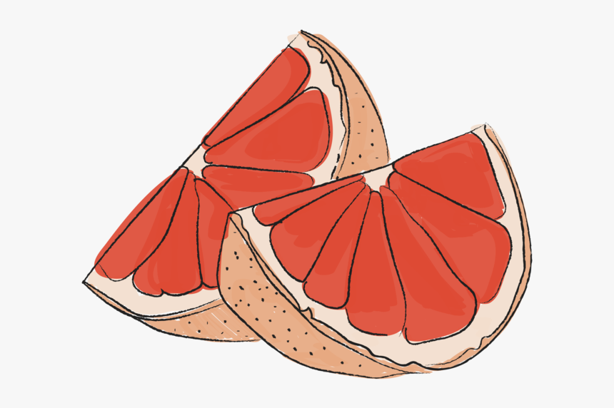 Grapefruit-01, HD Png Download, Free Download