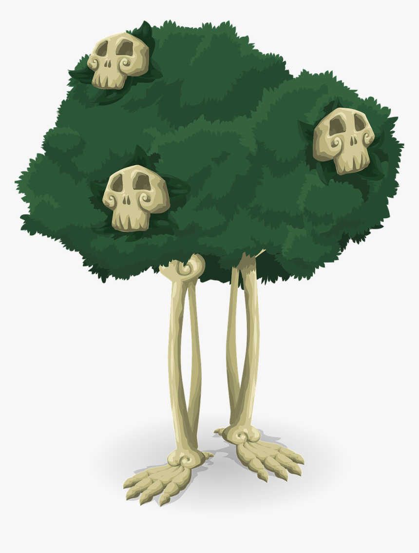 Arbol De Huesos, HD Png Download, Free Download