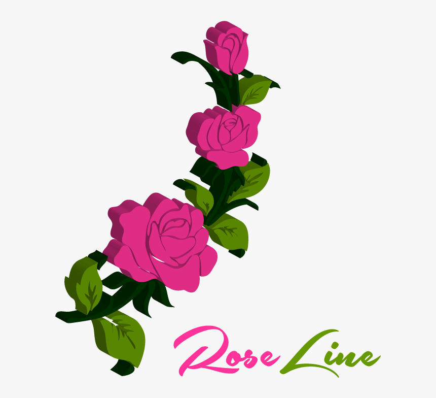 Rose, Roze, Roses, Rose Pedals - Hybrid Tea Rose, HD Png Download, Free Download