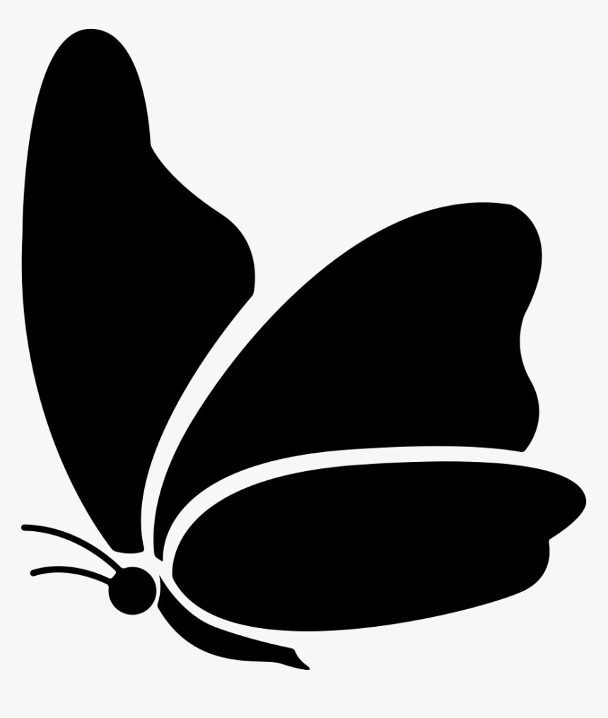 Big Wing Butterfly - Butterfly Icon Vector, HD Png Download, Free Download