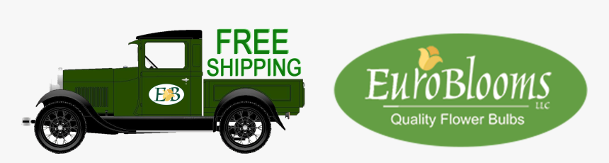 Commercial Vehicle, HD Png Download, Free Download