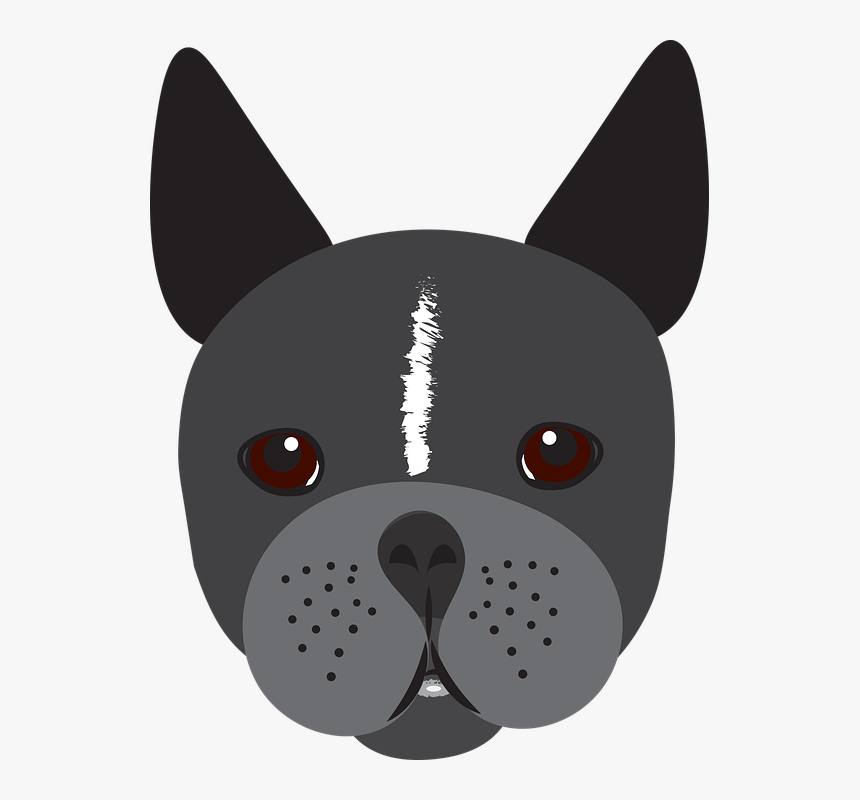 Bulldog, Dog, Puppy, Boston, Terrier, Cute, Canine - Companion Dog, HD Png Download, Free Download