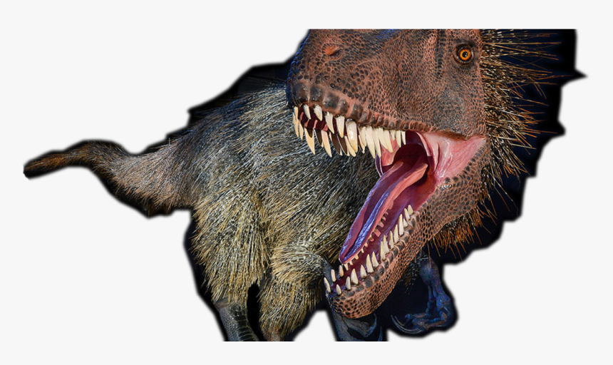 Transparent Dinosaurs Png - Tyrannosaurus, Png Download, Free Download