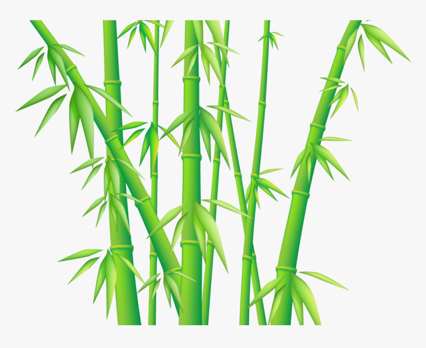 Transparent Bamboo Tree Png - Bamboo Png, Png Download, Free Download