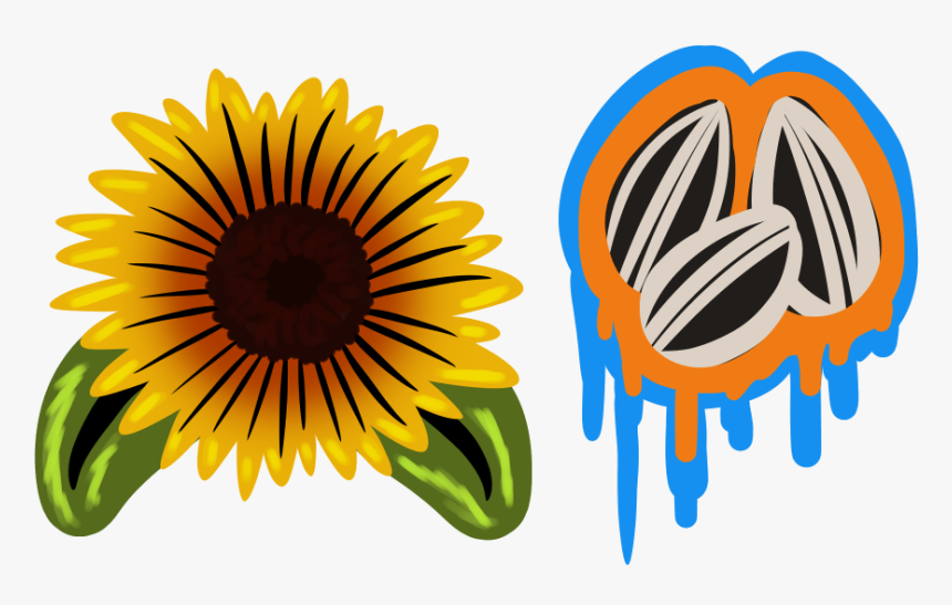 F2u- Sunflower And Seeds Graffiti - Sunflower, HD Png Download, Free Download