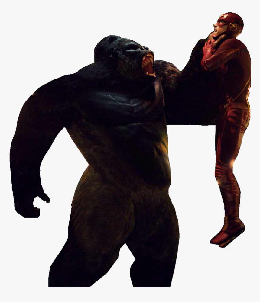 Gorilla Grodd Png, Transparent Png, Free Download