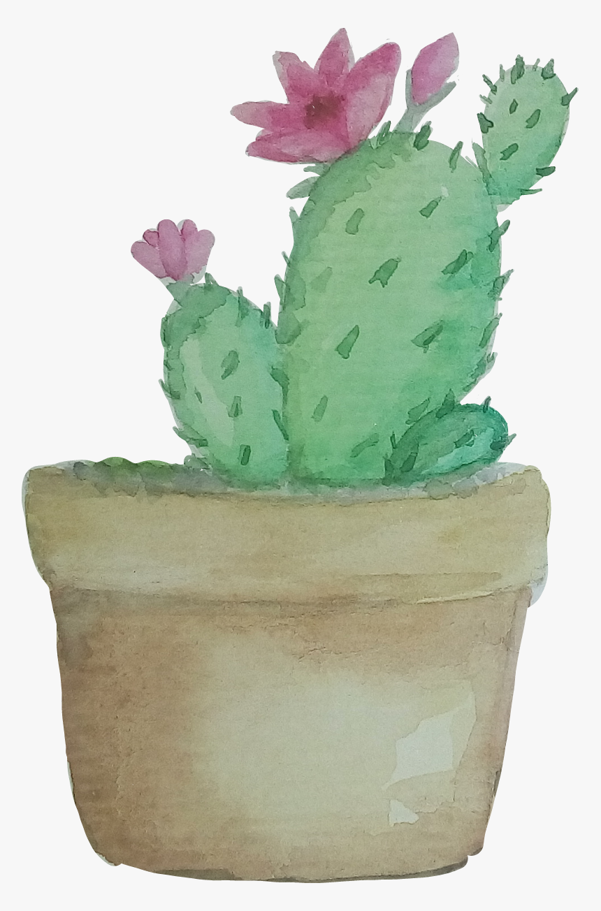 Transparent Watercolor Cactus Png - Png Transparent Cactus Png, Png Download, Free Download