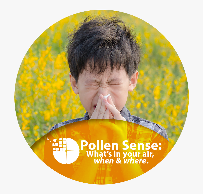 What"s In Your Air, When And Where - Sneezing By Pollen, HD Png Download, Free Download