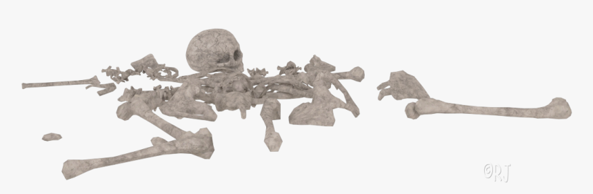 Pile Of Bones Png, Transparent Png, Free Download