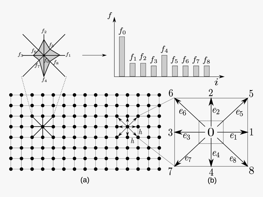 The Lattice Boltzmann Discretization And D2q9 Scheme - Pupiletras De Las Colores En Ingles, HD Png Download, Free Download