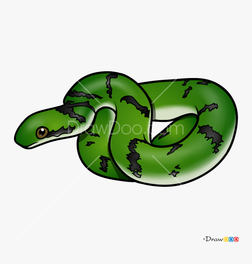 How To Draw Green Snake Snakes - Cartoon T Rex Head Side View, HD Png Download, Free Download