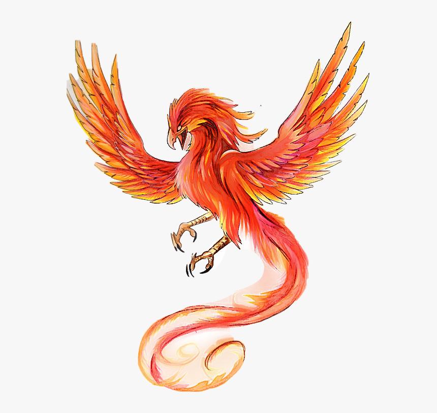 Red phoenix illustration Phoenix Firebird Tattoo Mythology Fireworks  Phoenix watercolor Painting orange vertebrate png  PNGWing