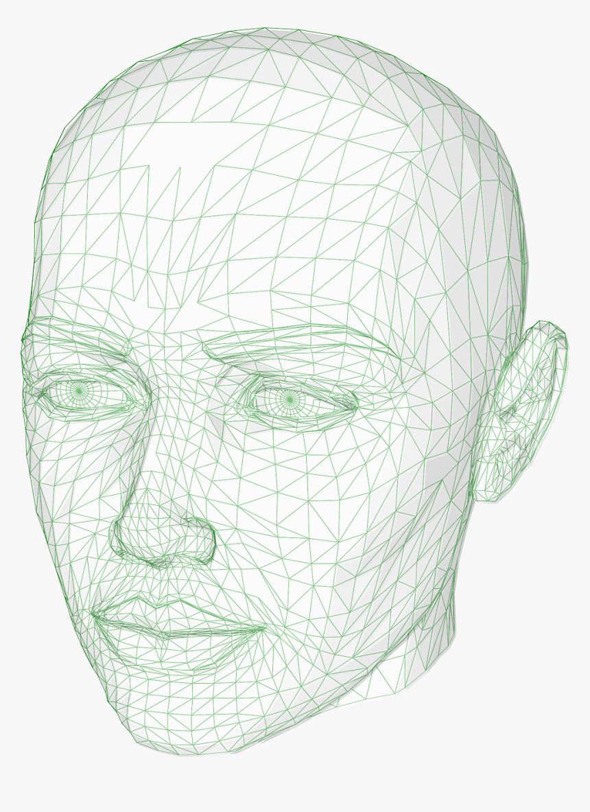 Head, Wireframe Graphics, Model, 3d, Human, Computer - 3d Free Wireframe, HD Png Download, Free Download