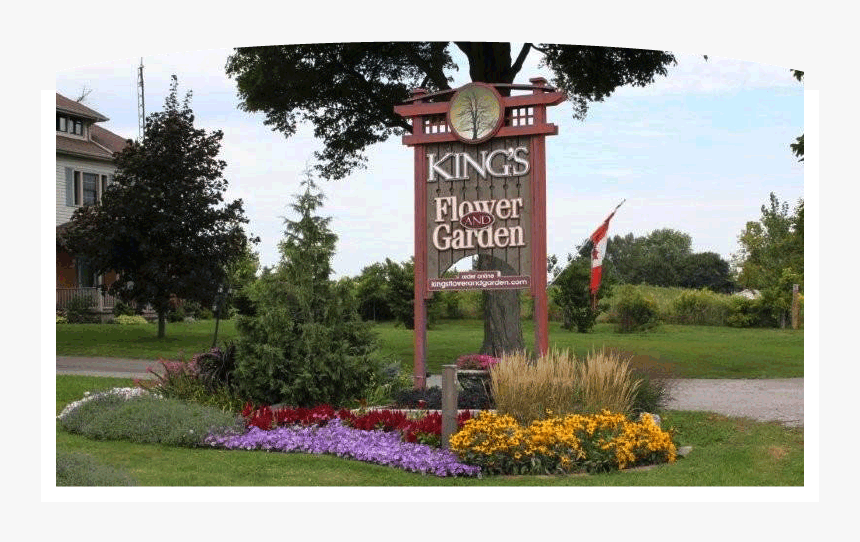 Simcoe Ontario Florist - Garden Centre Simcoe, HD Png Download, Free Download