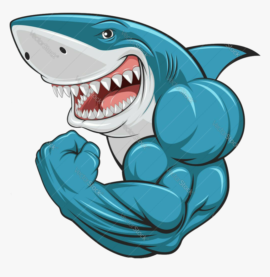 #shark #tubarão #cartoon #desenho @lucianoballack - Cartoon Shark, HD Png Download, Free Download