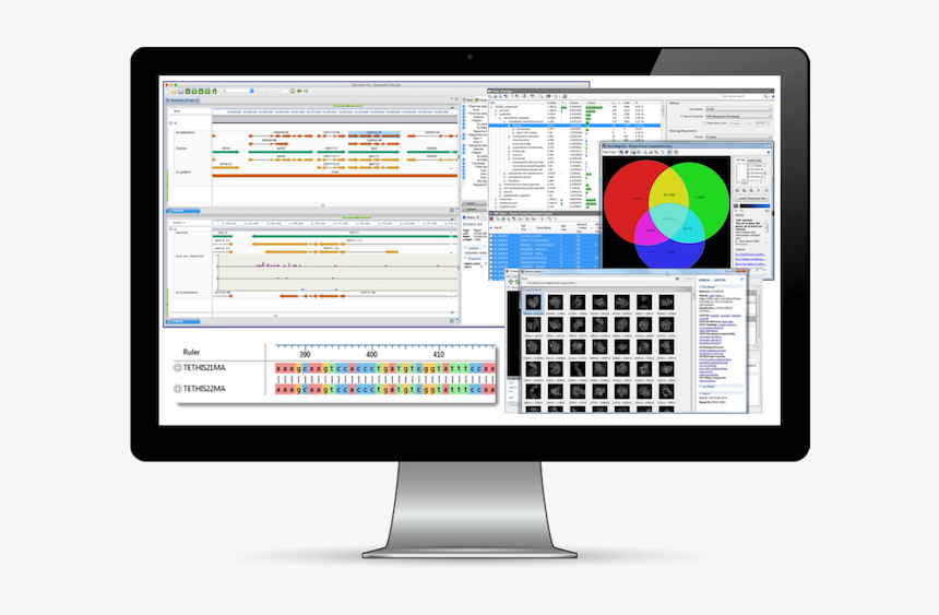 Lasergene Complete Package - Bioinformatics Software, HD Png Download, Free Download