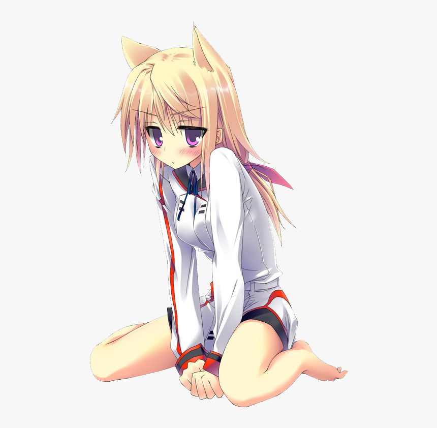 Charlotte Infinite Stratos Neko, HD Png Download, Free Download