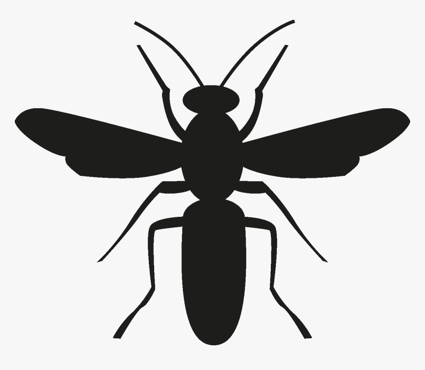 Transparent Insects Png - Insect Silhouette Png, Png Download, Free Download