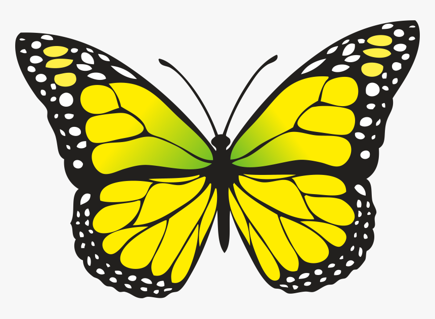 Yellow Butterfly, HD Png Download, Free Download