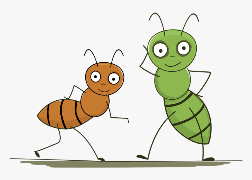 Ants, Insects, Cartoon, Wildlife, Nature, Funny, Animal - Insecto Dibujo, HD Png Download, Free Download