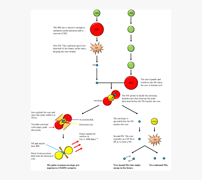 Diagram, HD Png Download, Free Download