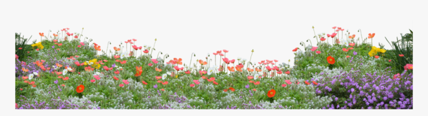 #flowers #field #freetoedit - Flower Garden Png, Transparent Png, Free Download