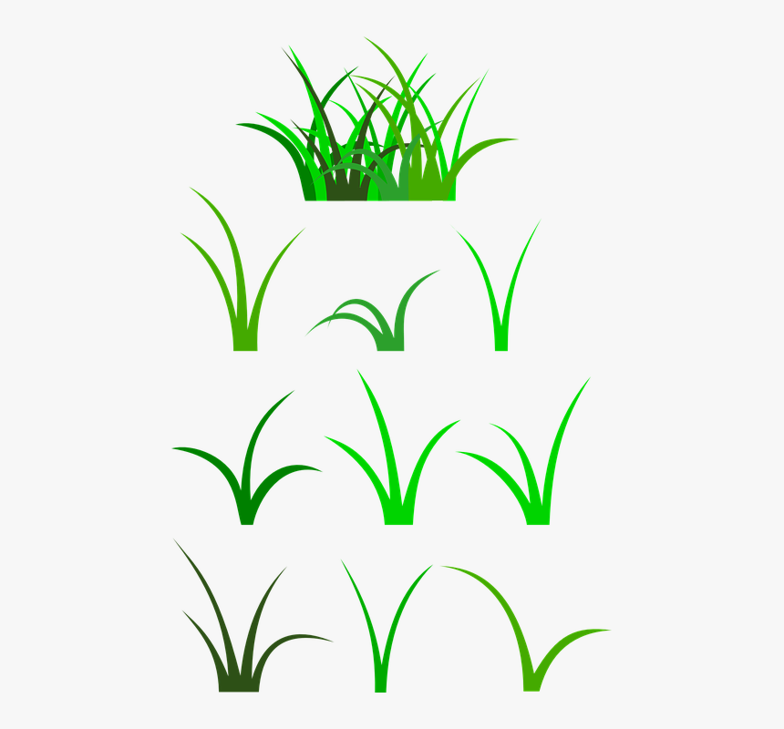 Blade Of Grass Clip Art - Grass Blade Clipart, HD Png Download, Free Download