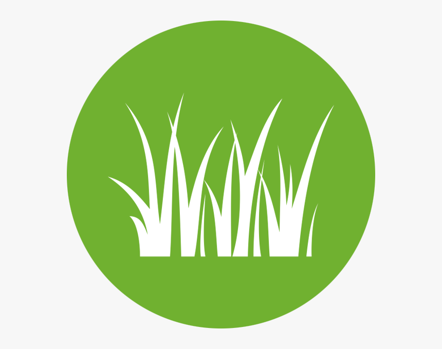 Transparent Blades Of Grass Png, Png Download, Free Download