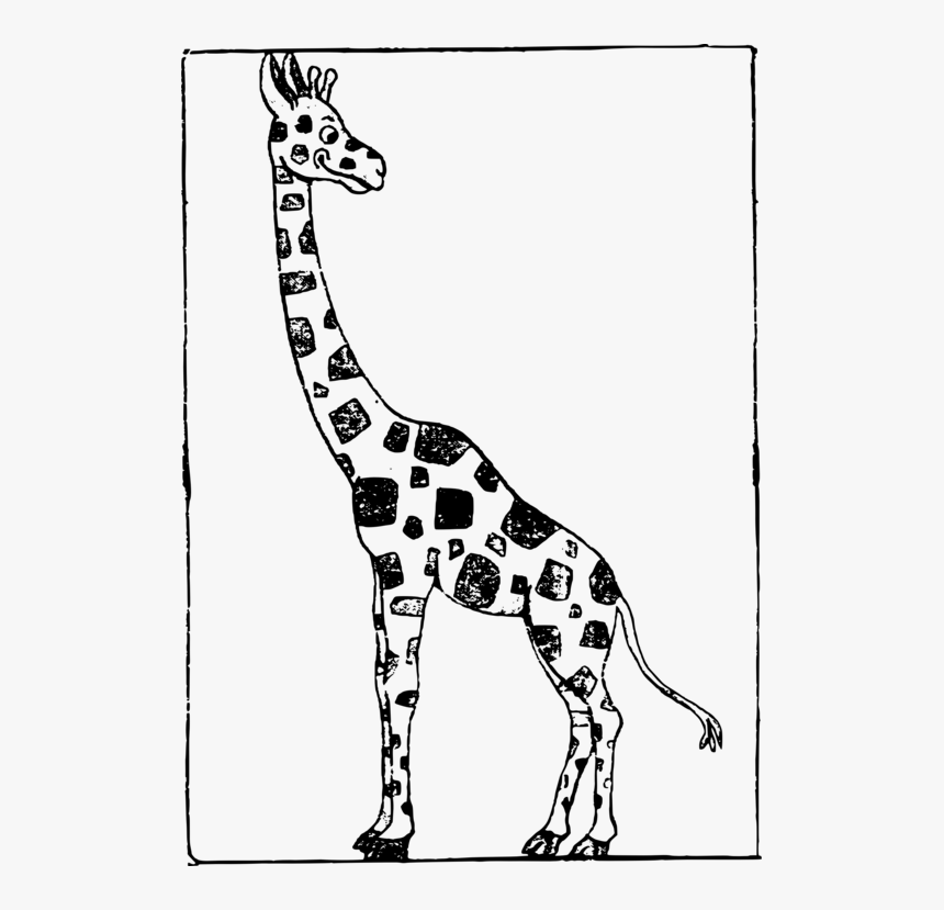 Monochrome,line Art,area - Cartoon Picture Of Giraffe Black And White, HD Png Download, Free Download