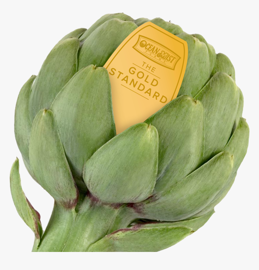 Artichoke Png, Transparent Png, Free Download