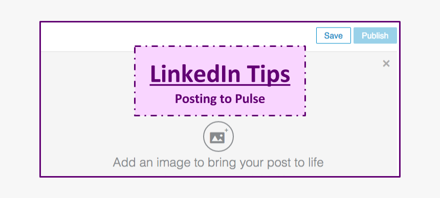 Linkedin Tips Posting To Pulse - Neuromodulatie, HD Png Download, Free Download