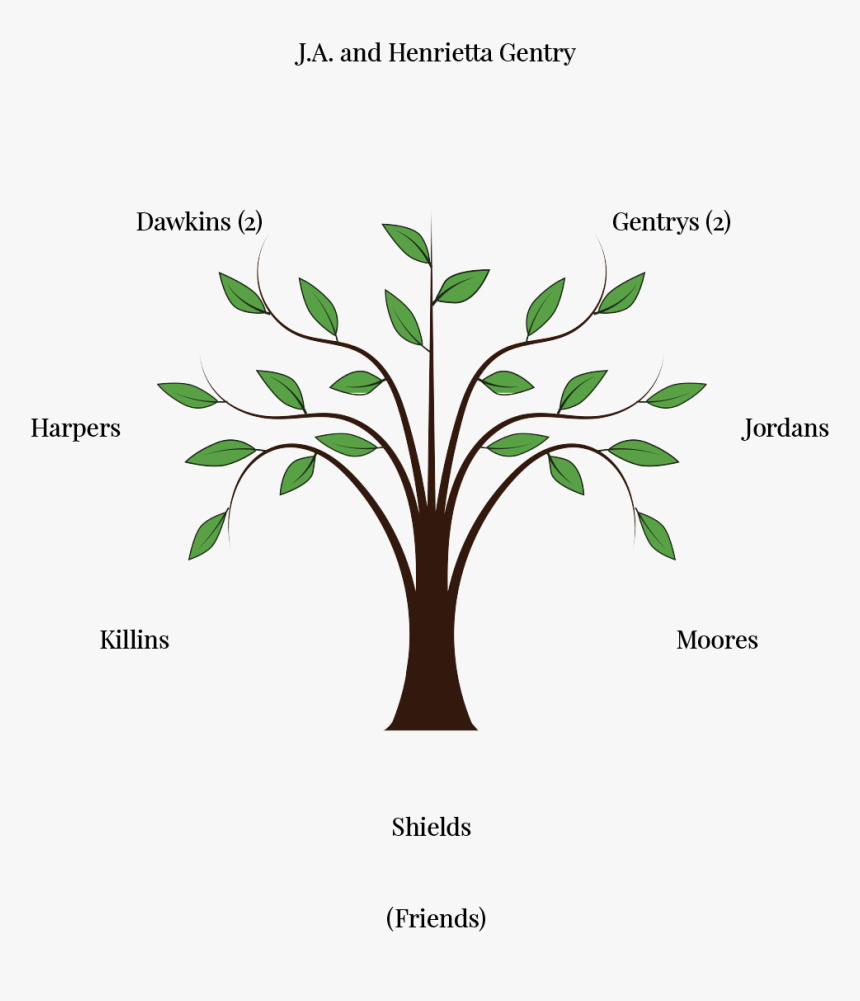 Tree Vector Png Free , Png Download - Trees And Leaves Clipart, Transparent Png, Free Download