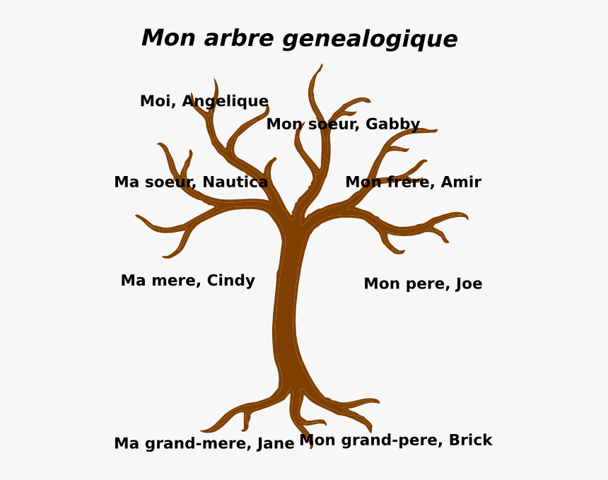 Family Tree Svg - Bare Tree Clip Art, HD Png Download, Free Download