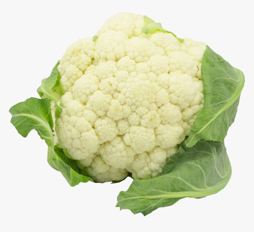 Download Cauliflower Png Clipart - Cauliflower Vegetable Png, Transparent Png, Free Download