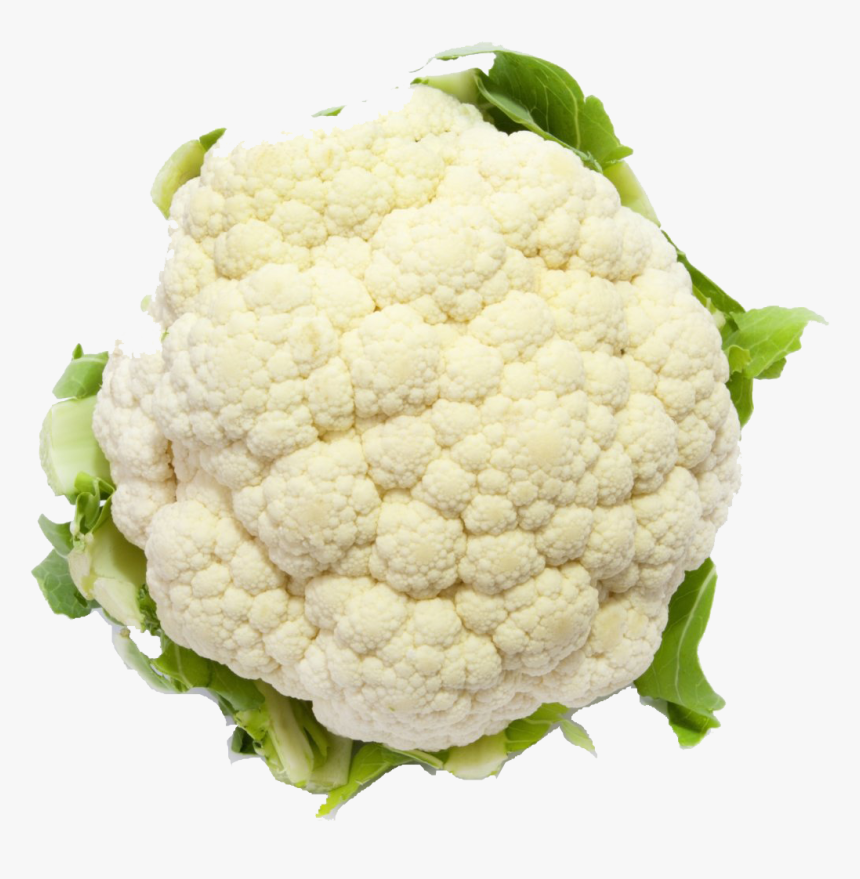 White Cauliflower Png Free Image Download - Vegetable Cauliflower, Transparent Png, Free Download