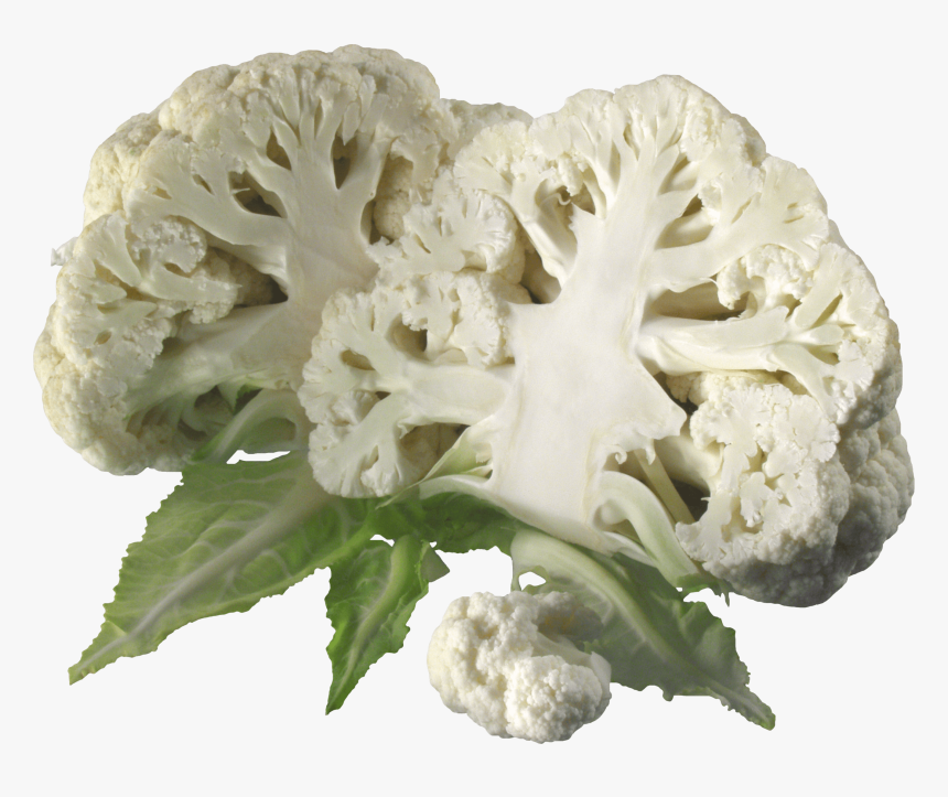 Cauliflower Slices - Cauliflower Images Png, Transparent Png, Free Download