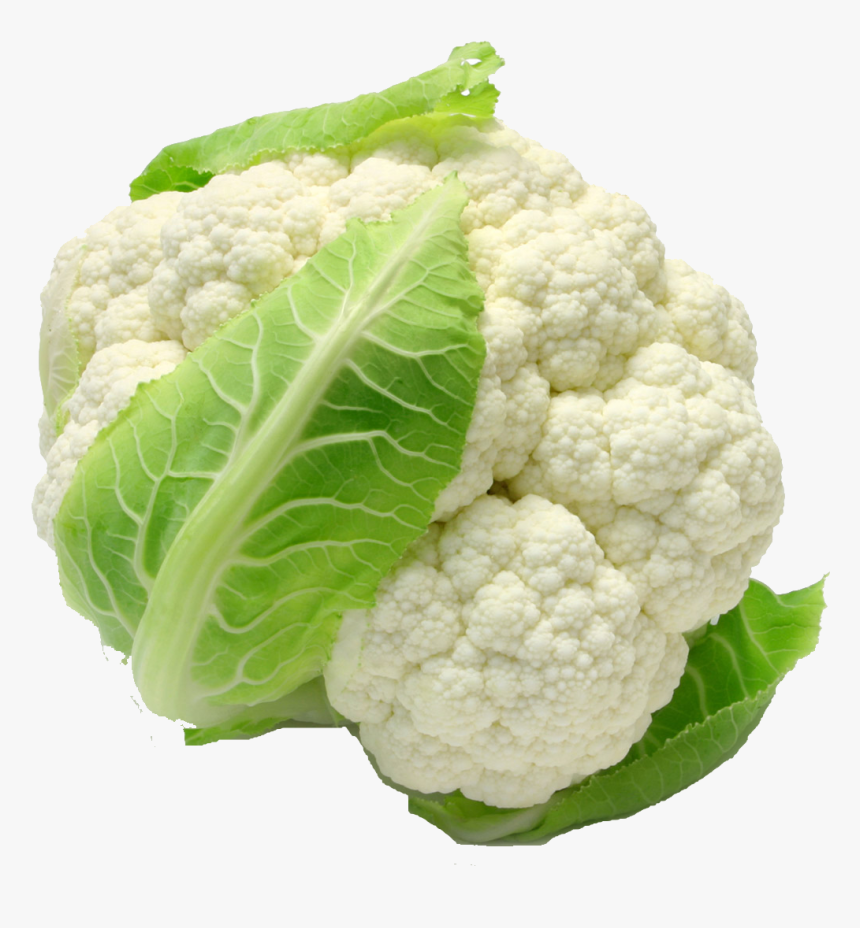 White Cauliflower Png Clipart - Cauliflower Vegetables, Transparent Png, Free Download