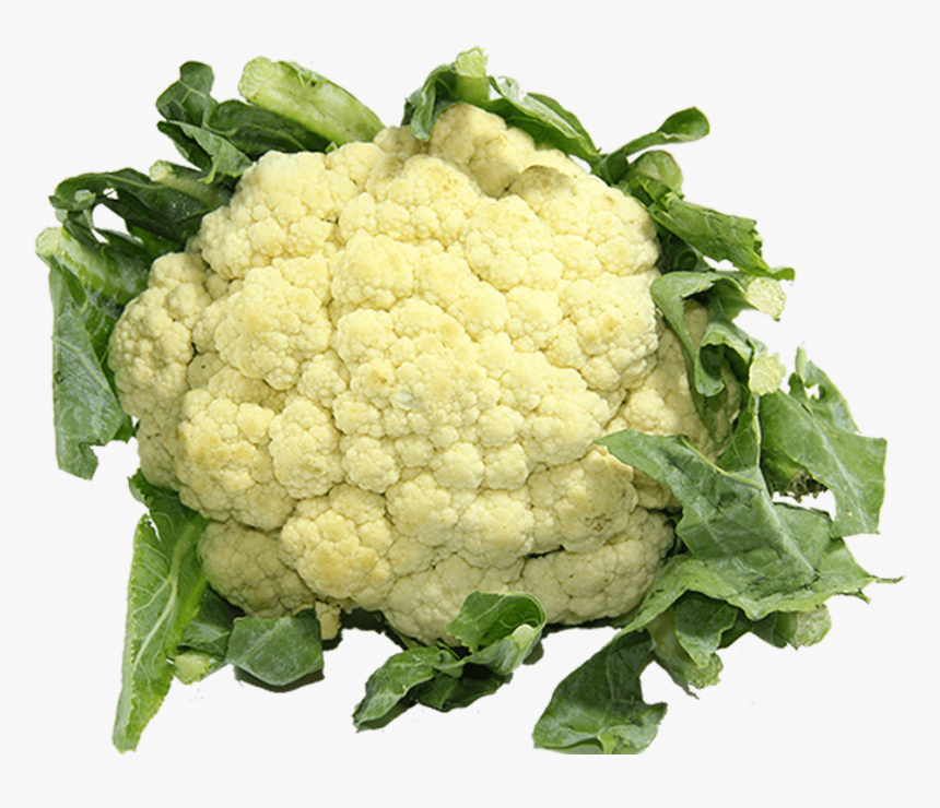 Transparent Cauliflower Png - Phul Gobi Png, Png Download, Free Download