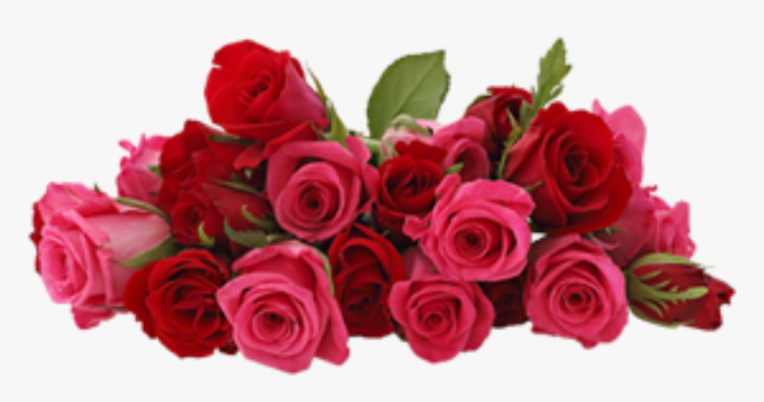 Congratulations With Rose Hd, HD Png Download, Free Download