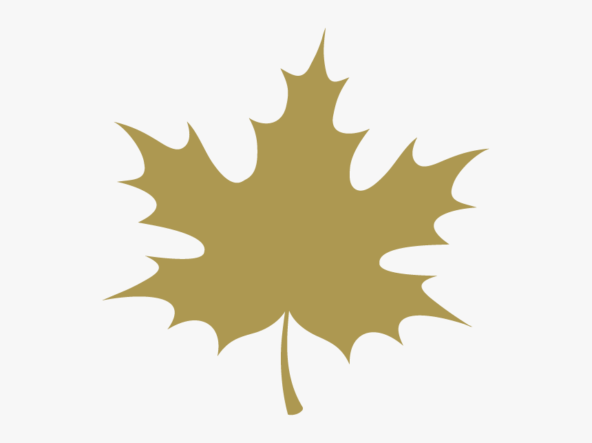 Transparent Holly Leaf Png - Cartoon Fall Leaf Png, Png Download, Free Download