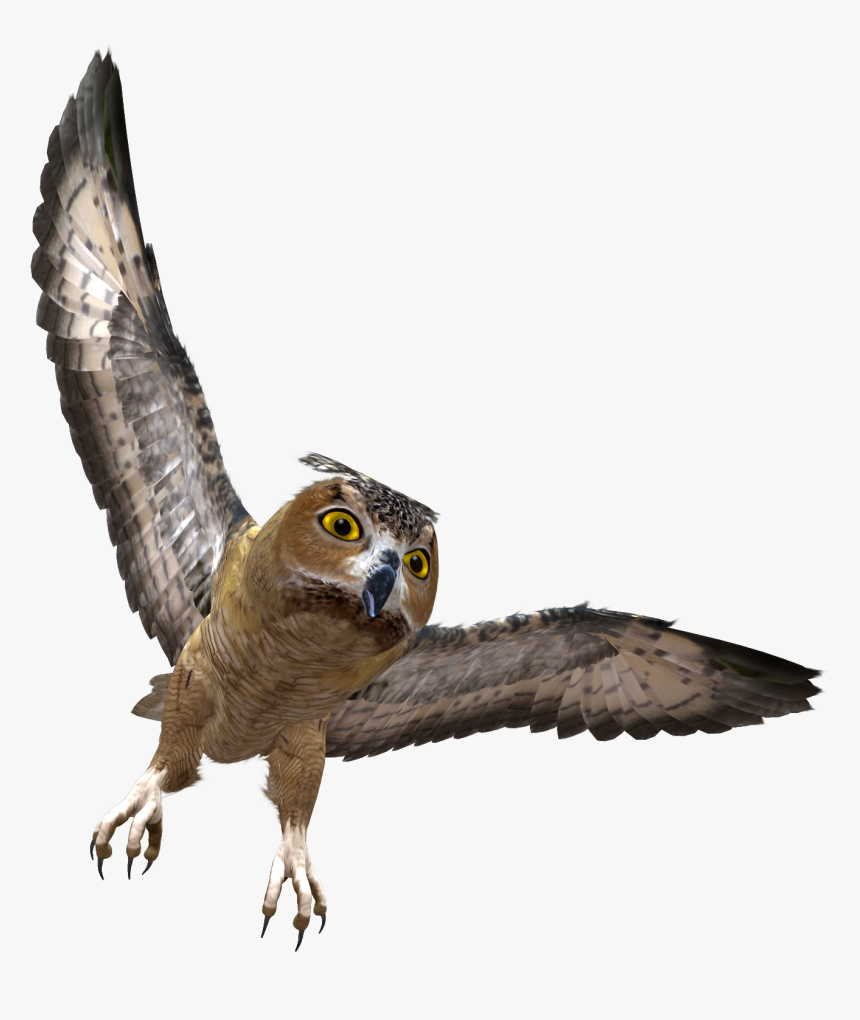 Owl Png - Owl Flying Transparent Background, Png Download, Free Download