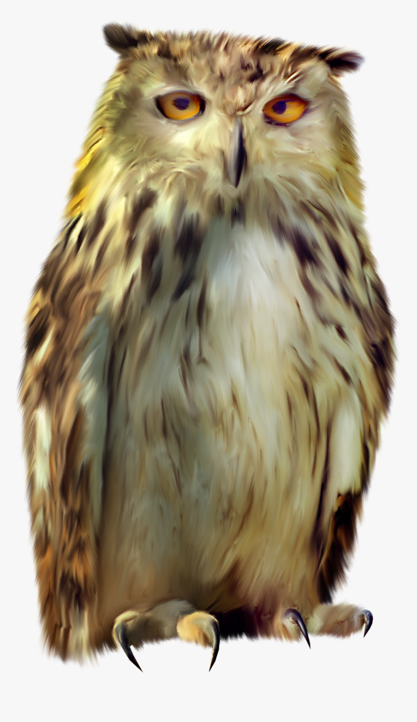 Now You Can Download Owls Png Picture - Картинка Сова На Прозрачном Фоне, Transparent Png, Free Download