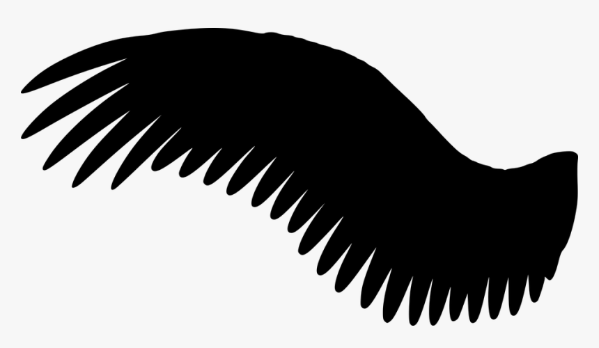 Wing, Silhouette, Fly - Black Angel Wings Png, Transparent Png, Free Download