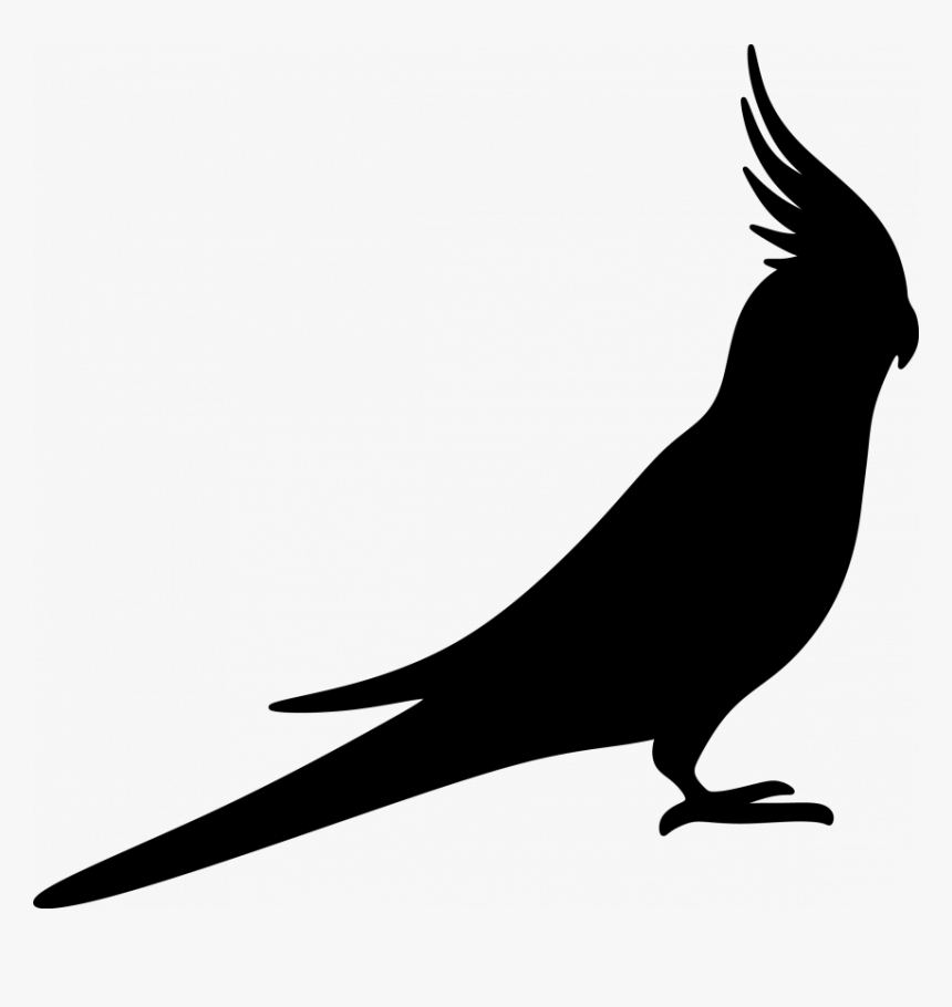 Cockatoo, HD Png Download, Free Download