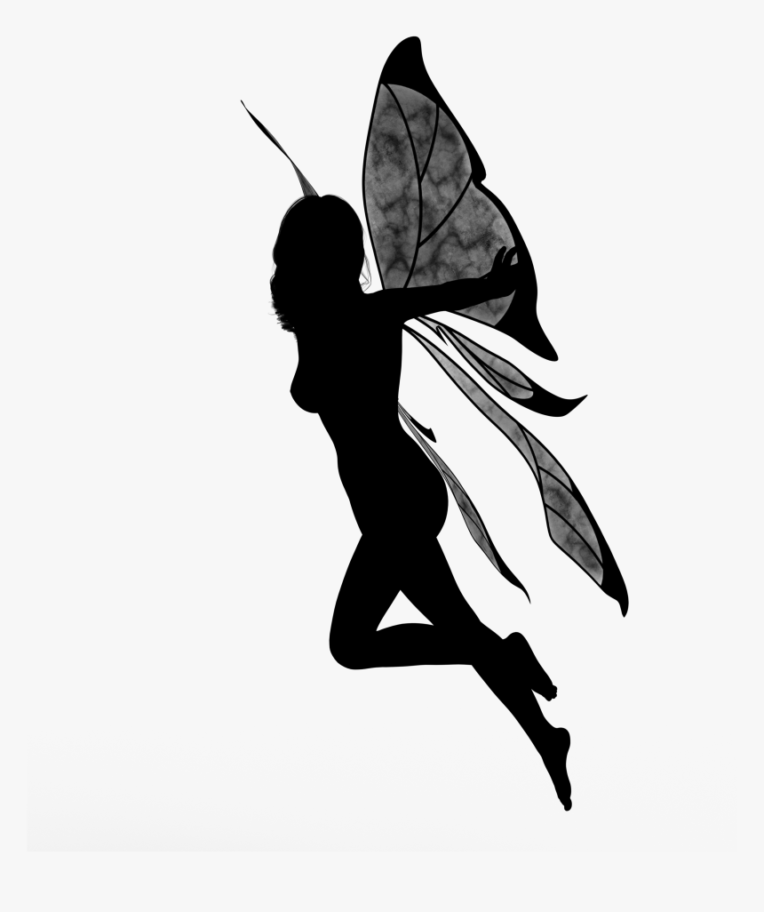 Transparent Wing Silhouette Png, Png Download, Free Download