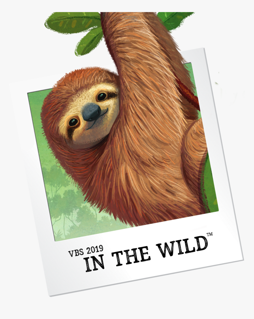 Vbs In The Wild, HD Png Download, Free Download