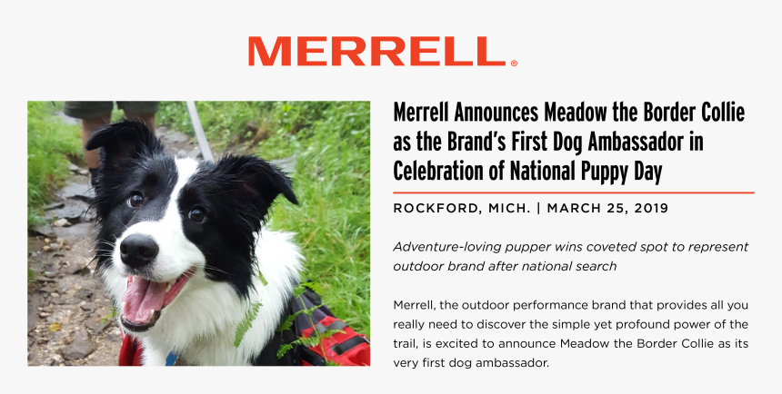 Merrell, HD Png Download, Free Download